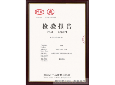 球问鼎在线(中国)检验报告