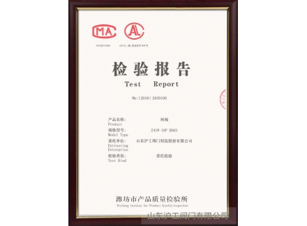 闸问鼎在线(中国)检验报告